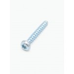 Screw, 30x20