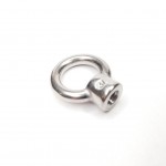 Eye Nut