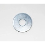 Shakeproof Washer