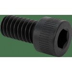 Screw, socket, 1/4-20 x 0.5