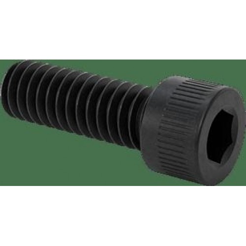 xaeff-500x500.jpg