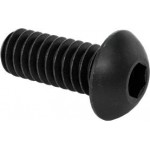 Screw, button, 1/4-20 x 0.625