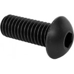 Screw, button, 3/8-16 x 1