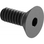Screw, flat socket, 6-32 x 0.375