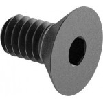 Screw, flat socket, 1/4-20 x 0.5