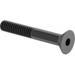 Screw, flat socket, 1/4-20 x 1.7