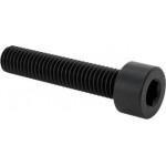 Metric screw, socket, 5 x 25