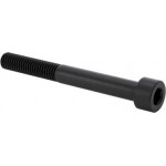 Metric screw, socket, 6 x 55