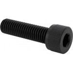 Metric screw, socket, 8 x 30