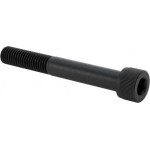 Metric screw, socket, 10 x 75