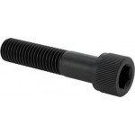 Metric screw, socket, 12 x 55