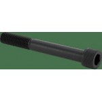 Metric screw, socket, 12 x 100