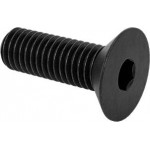Metric screw, flat socket, 8 x25