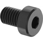 Metric screw, low socket, 8 x 12