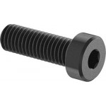 Metric screw, low socket, 8 x 25