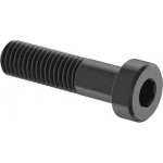 Metric screw, low skt, 10 x 40